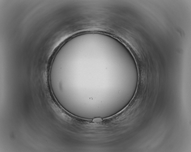 X0000111781460200908061105