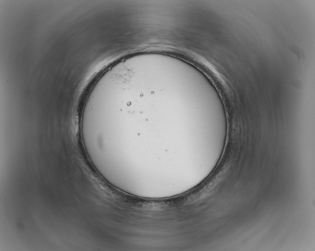 X0000111781461200908061105