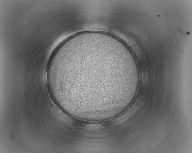 X0000111781462200908061105