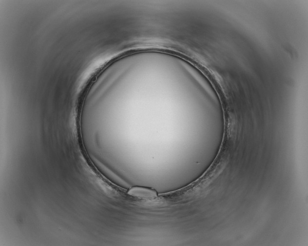 X0000111781464200908061105