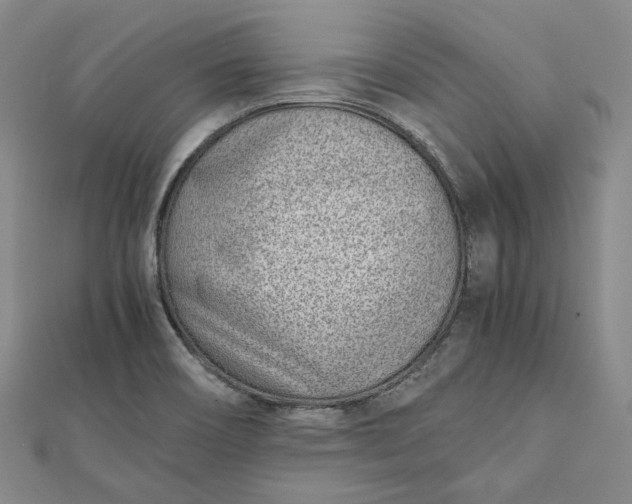 X0000111781466200908061104