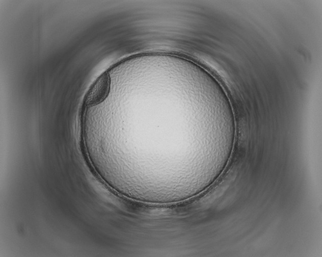 X0000111781467200908061104