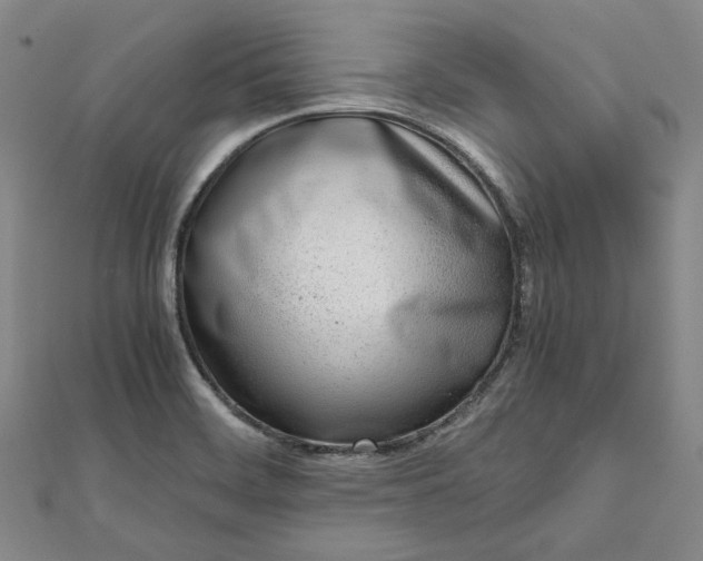 X0000111781468200908061104