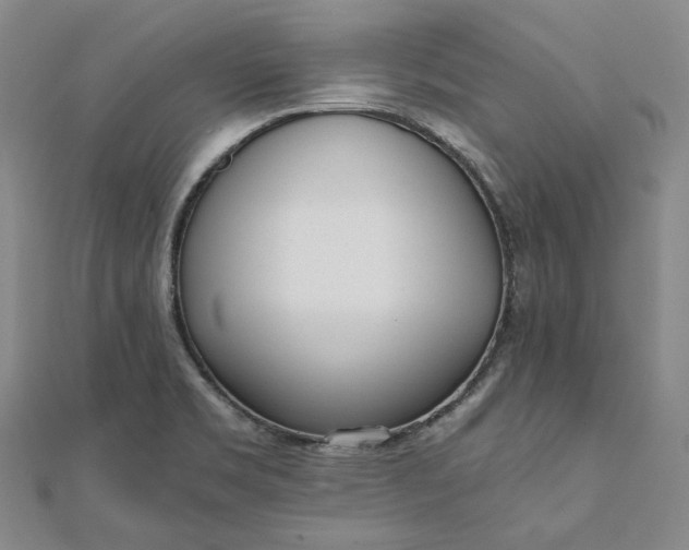 X0000111781469200908061104