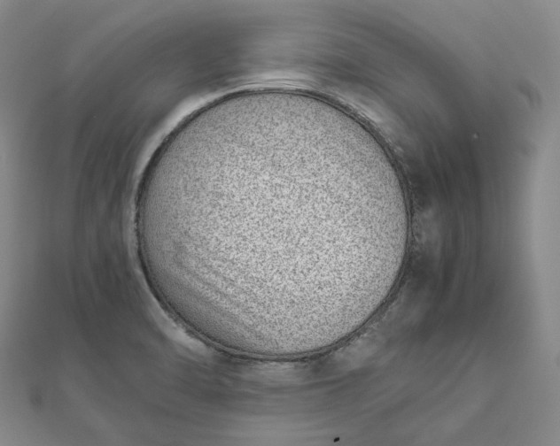 X0000111781470200908061104