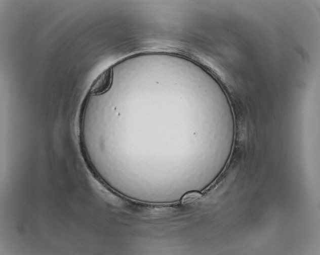 X0000111781471200908061104