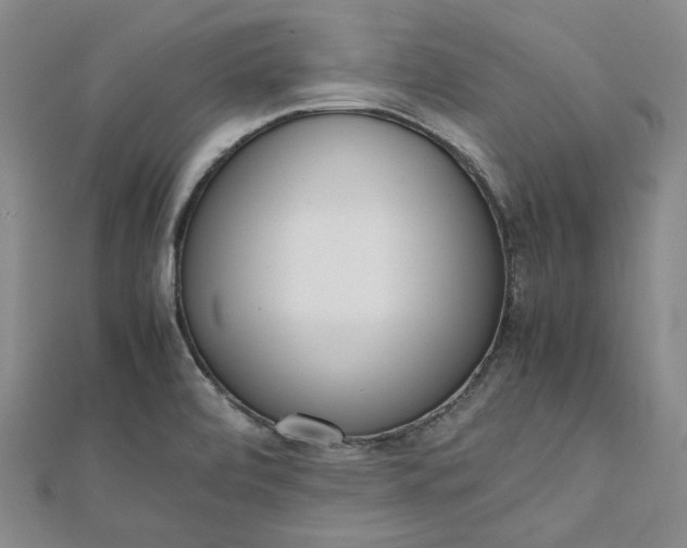 X0000111781472200908061104