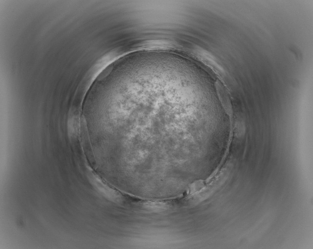 X0000111781473200908061104