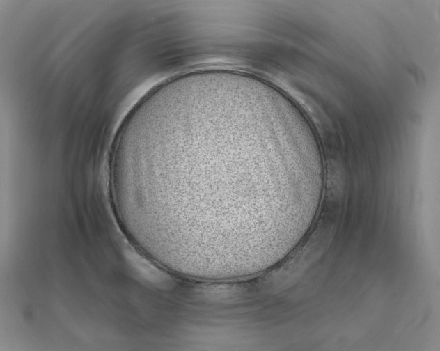 X0000111781474200908061104