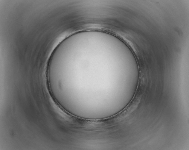 X0000111781475200908061104