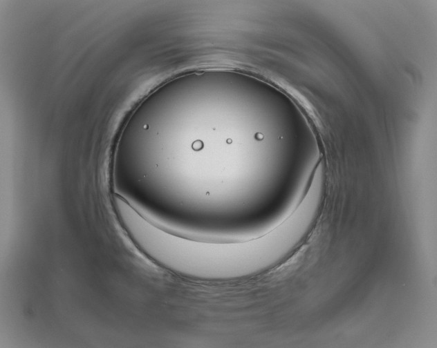 X0000111781477200908061104