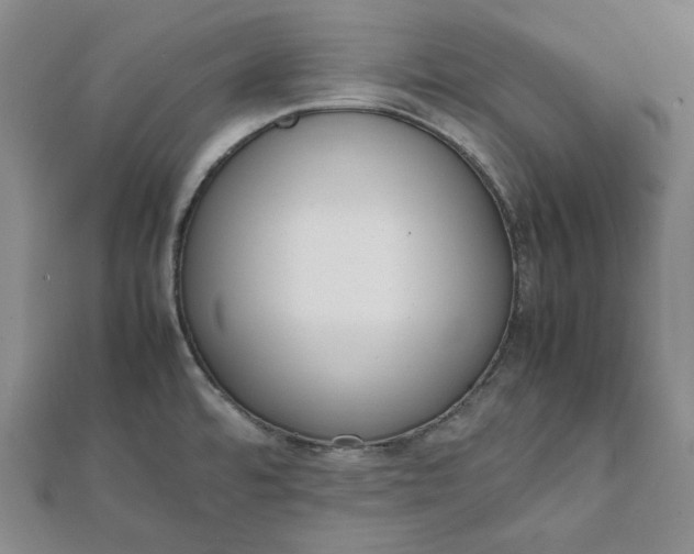 X0000111781480200908061104