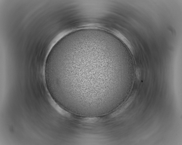 X0000111781482200908061104
