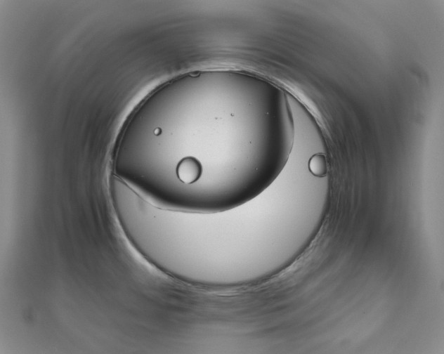 X0000111781484200908061104
