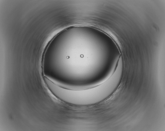 X0000111781485200908061104