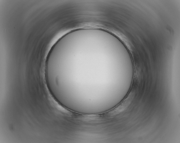 X0000111781486200908061104