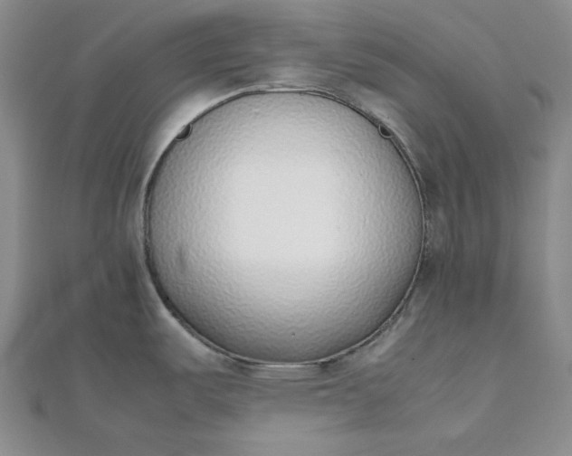 X0000111781487200908061104