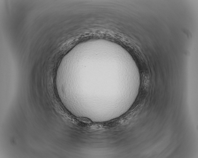X0000111781489200908061103