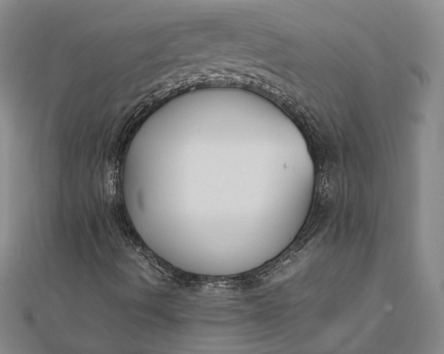 X0000111781490200908061103