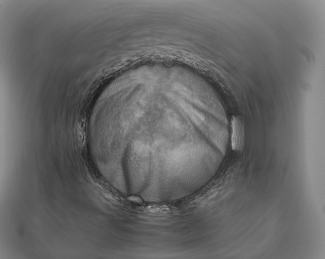 X0000111781491200908061103