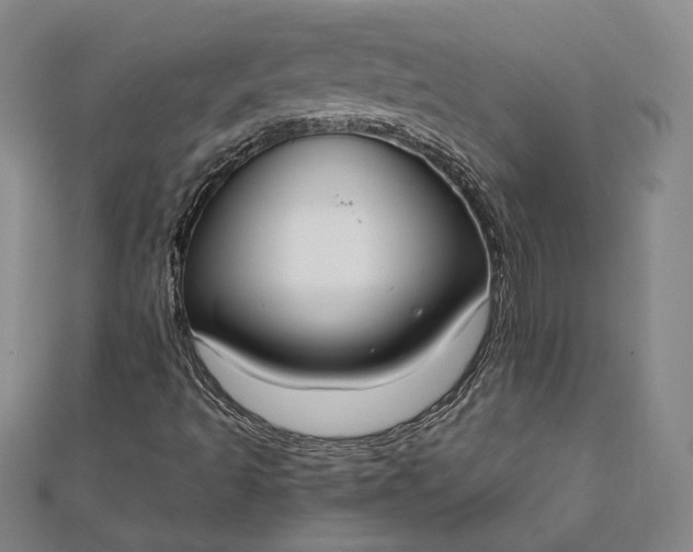 X0000111781493200908061103