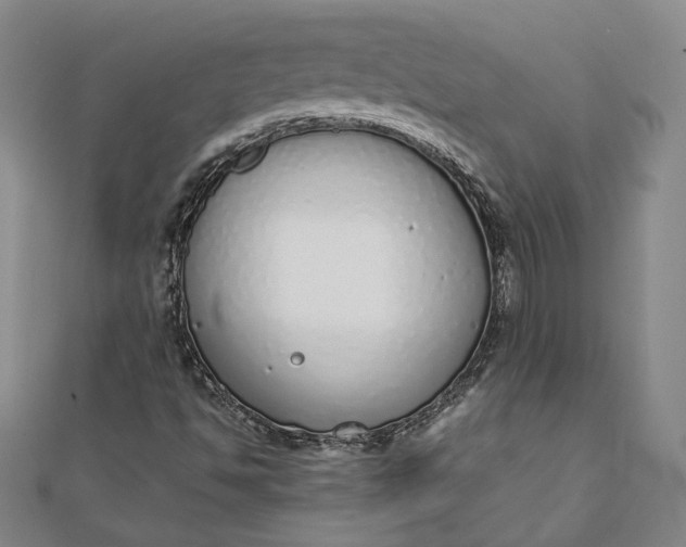 X0000111781494200908061103