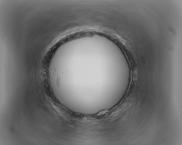 X0000111781496200908061104