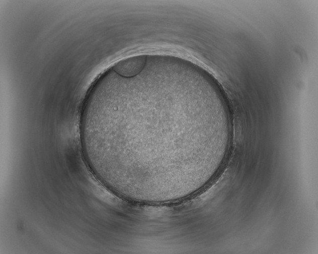X0000111781498200908061104