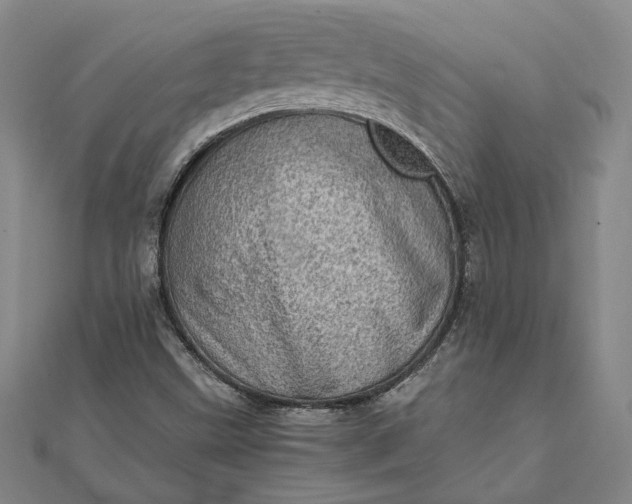 X0000111781499200908061104