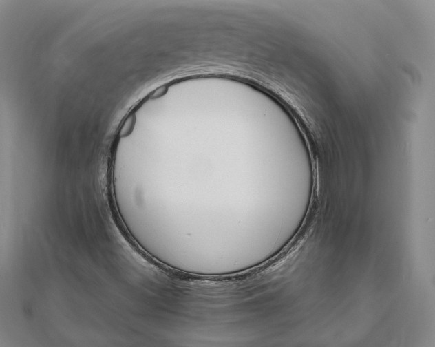 X0000111781500200908061104