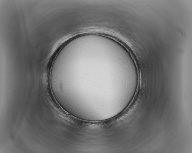 X0000111781501200908061104