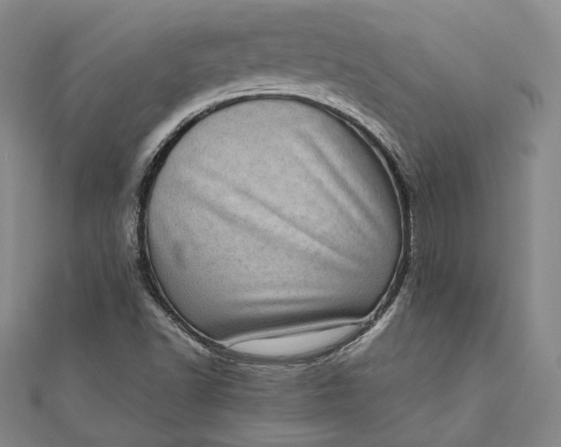 X0000111781502200908061104