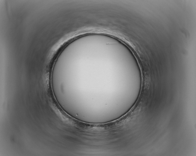 X0000111781503200908061104