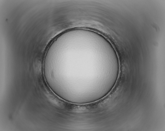 X0000111781505200908061104