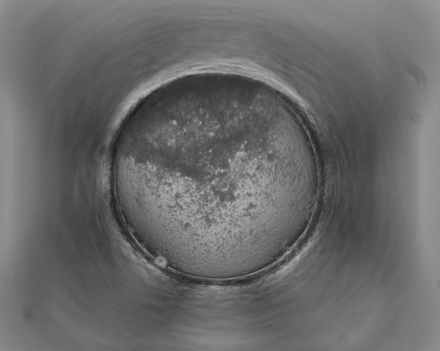 X0000111781506200908061104