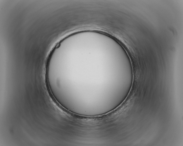 X0000111781508200908061104