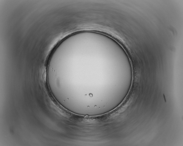 X0000111781509200908061104