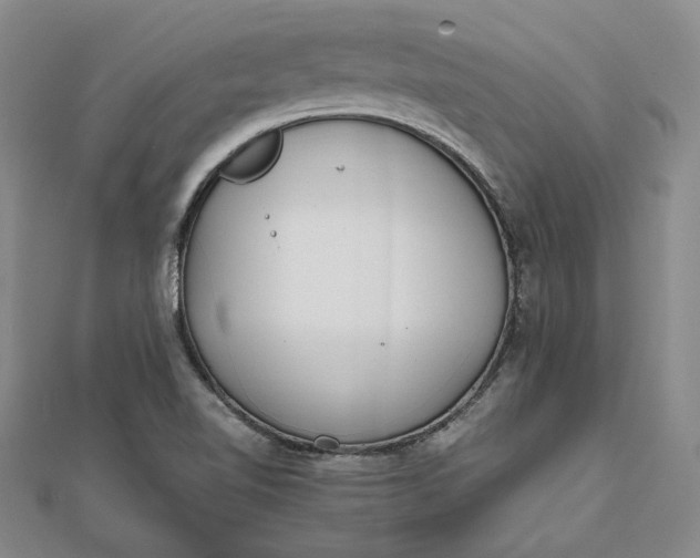 X0000111781510200908061104