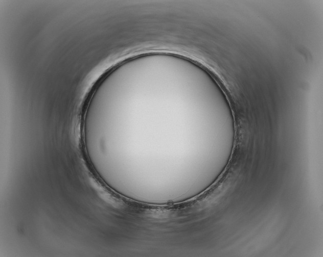 X0000111781511200908061104