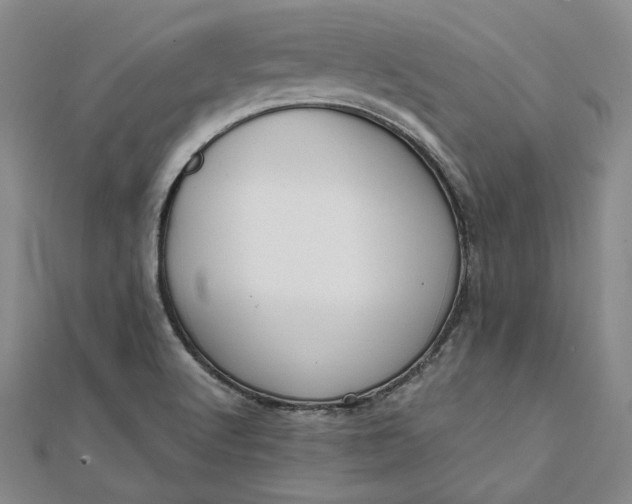 X0000111781512200908061104