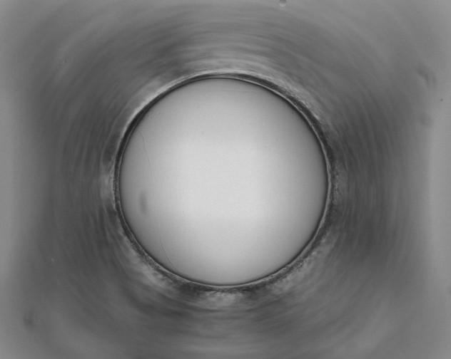 X0000111781513200908061104