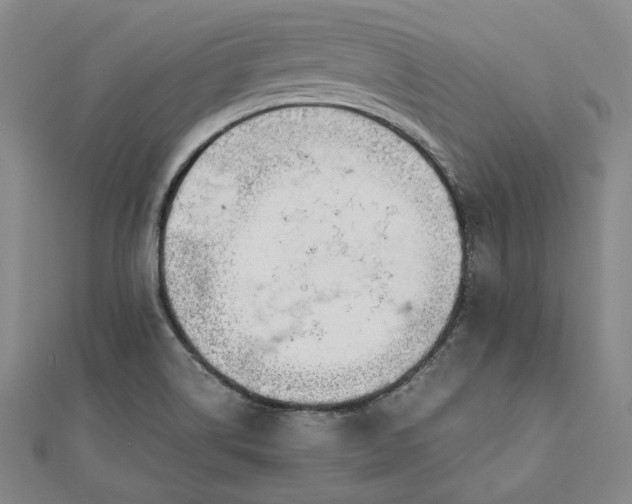 X0000111781514200908061104