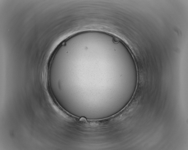 X0000111781515200908061104