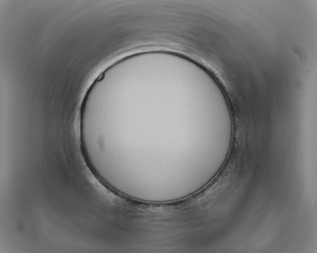 X0000111781516200908061104
