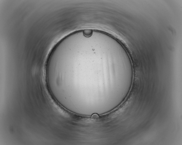 X0000111781517200908061104