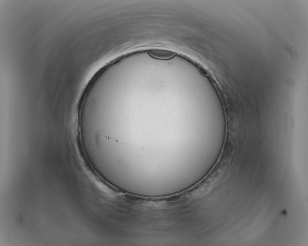 X0000111781519200908061104