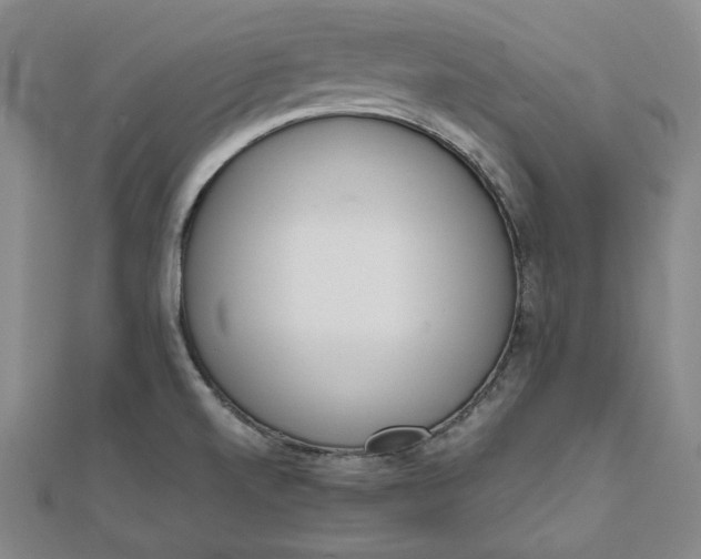 X0000111781520200908061104