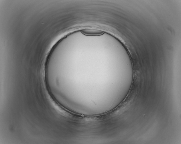 X0000111781523200908061104