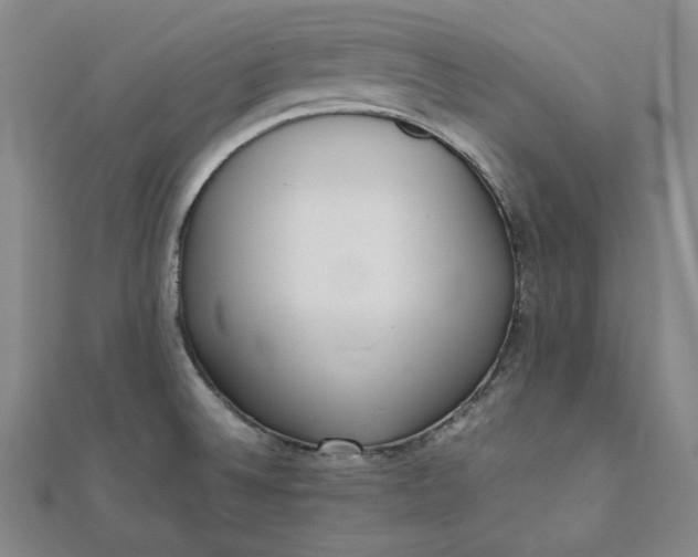 X0000111781524200908061104