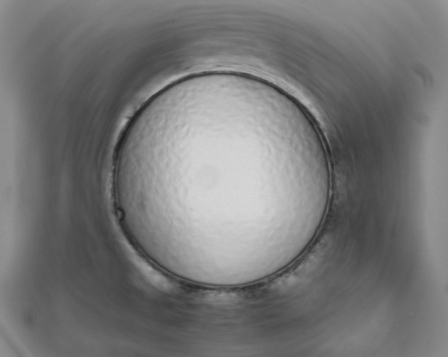 X0000111781525200908061104
